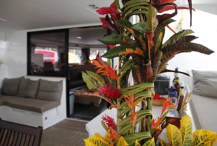 TradeWinds 60ft 5 Cabin Crewed Catamaran Luxury Class - French Polynesian Sailing Vacation - Raiatea island, French Polynesia