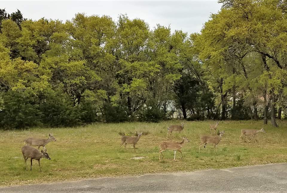 The Stonehouse at Canyon Lake - Canyon Lake, Texas