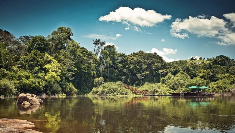 Cristalino Lodge - Alta Floresta, Brazil