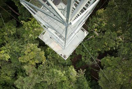 Cristalino Lodge - Alta Floresta, Brazil