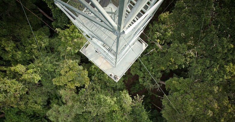 Cristalino Lodge - Alta Floresta, Brazil