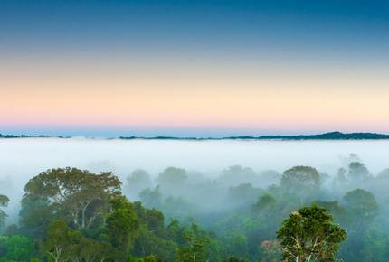 Cristalino Lodge - Alta Floresta, Brazil