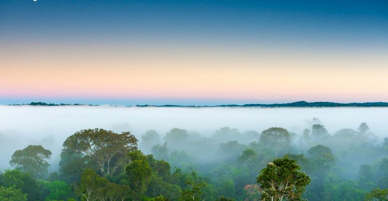 Cristalino Lodge - Alta Floresta, Brazil