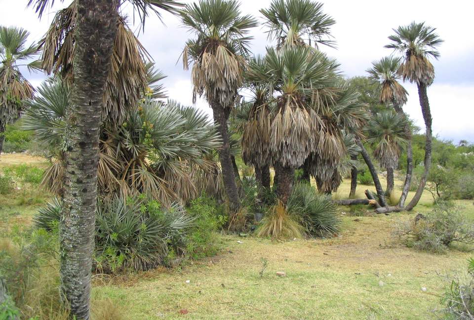 Historic Charmer in the Heart of Argentina's Countryside - Estancia San Pedro Viejo, Argentina