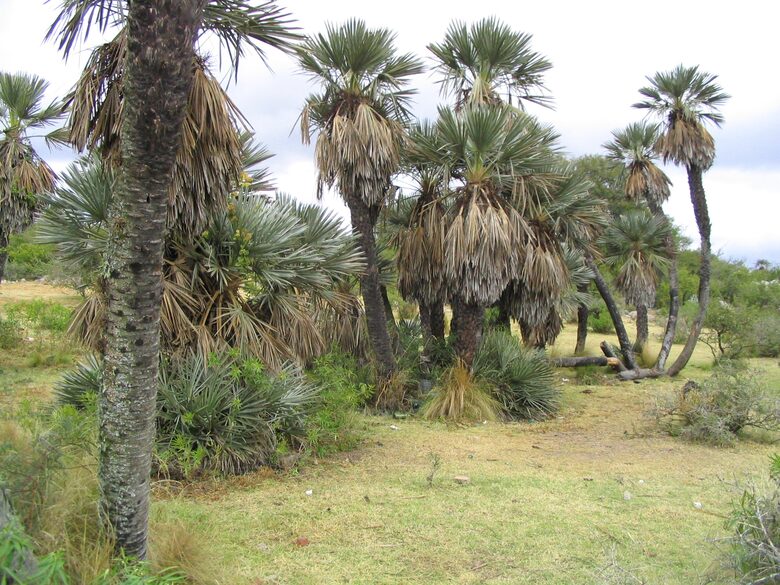 Historic Charmer in the Heart of Argentina's Countryside - Estancia San Pedro Viejo, Argentina