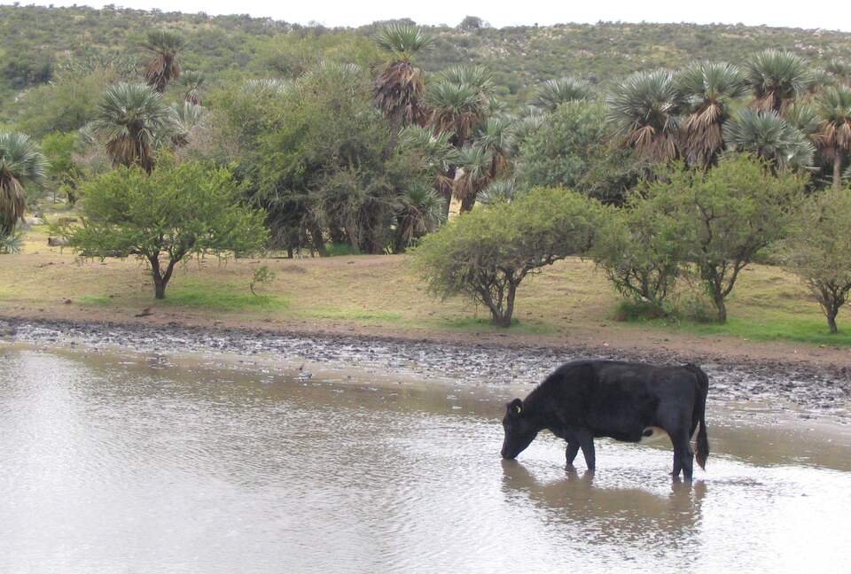 Historic Charmer in the Heart of Argentina's Countryside - Estancia San Pedro Viejo, Argentina