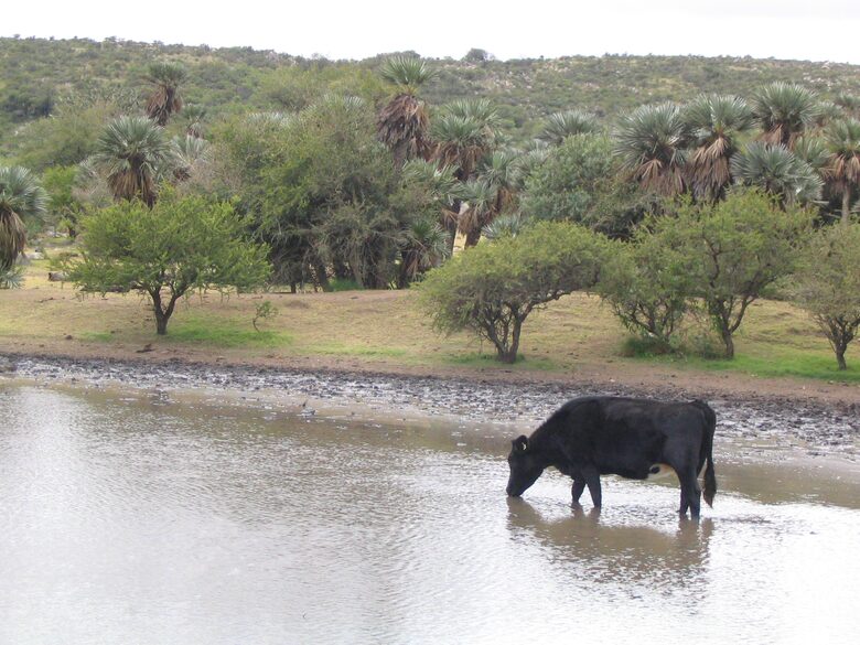 Historic Charmer in the Heart of Argentina's Countryside - Estancia San Pedro Viejo, Argentina