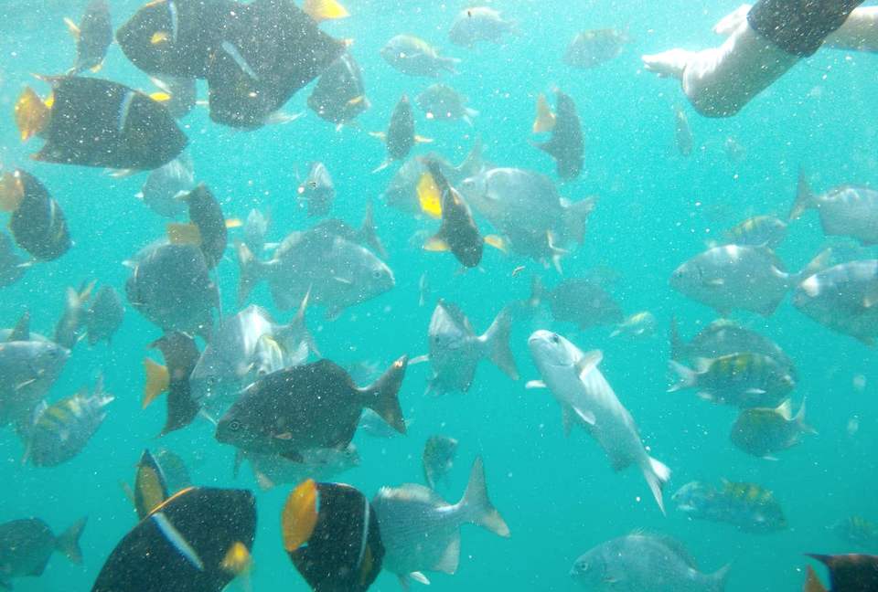 Casa Liliana - La Cruz de Huanacaxtle, Mexico