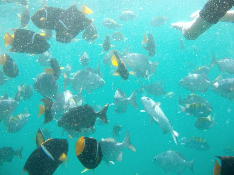 Casa Liliana - La Cruz de Huanacaxtle, Mexico