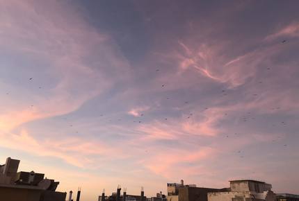 Medieval Medina Riad - Essaouira, Morocco