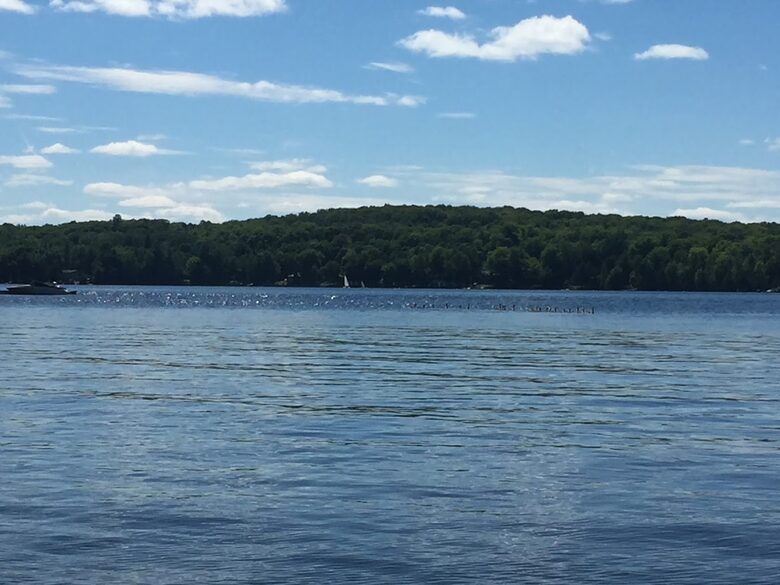 Sunset Luxury Cottage - Minden, Canada