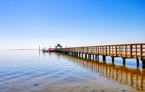 Whooping Crane Lane - Rockport, Texas