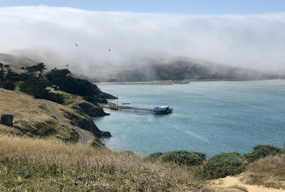 Oyster Cove Cottage - Tomales Bay, California