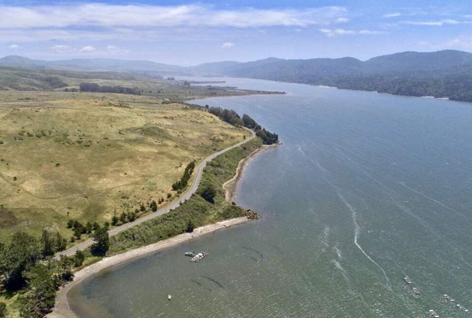 Oyster Cove Cottage - Tomales Bay, California