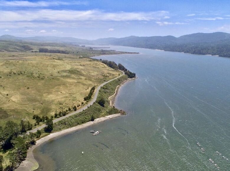 Oyster Cove Cottage - Tomales Bay, California