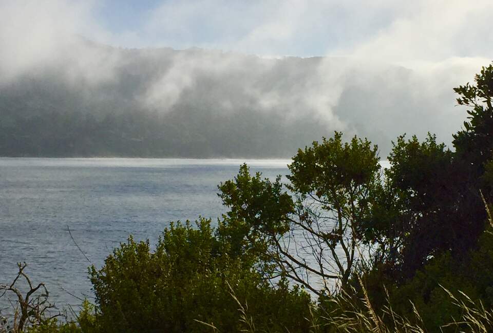 Oyster Cove Cottage - Tomales Bay, California