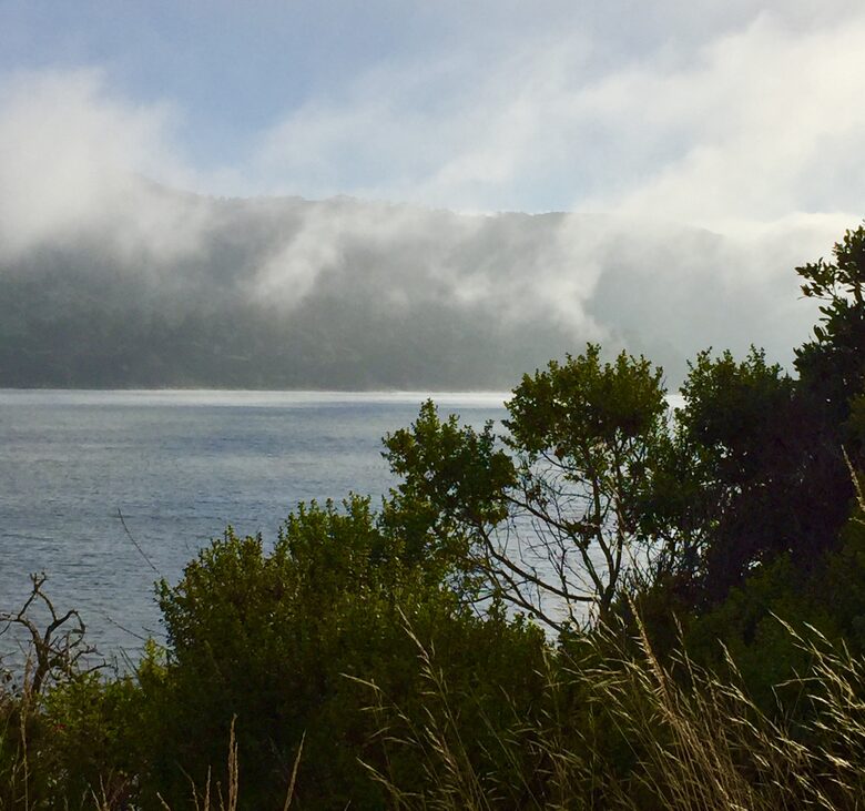 Oyster Cove Cottage - Tomales Bay, California