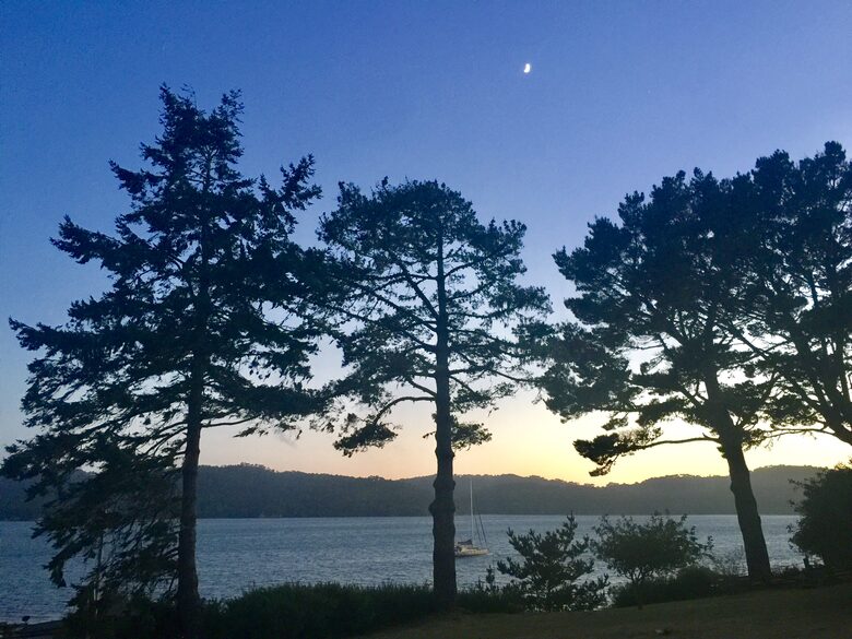 Oyster Cove Cottage - Tomales Bay, California