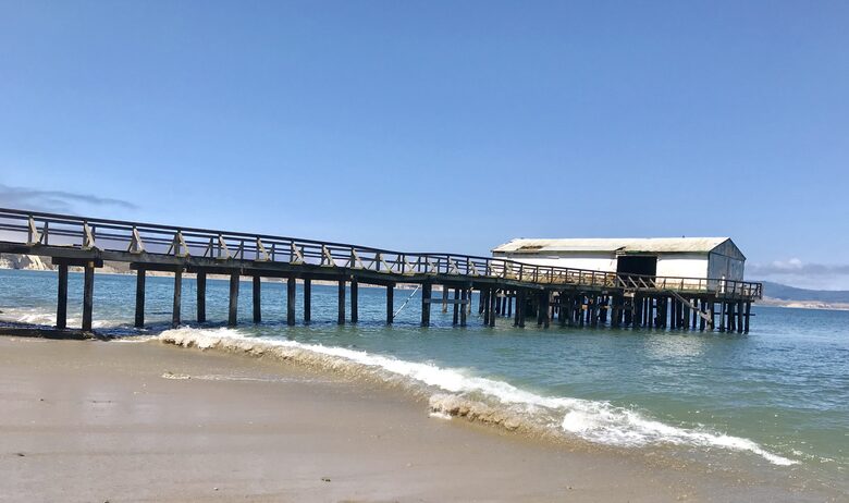 Oyster Cove Cottage - Tomales Bay, California