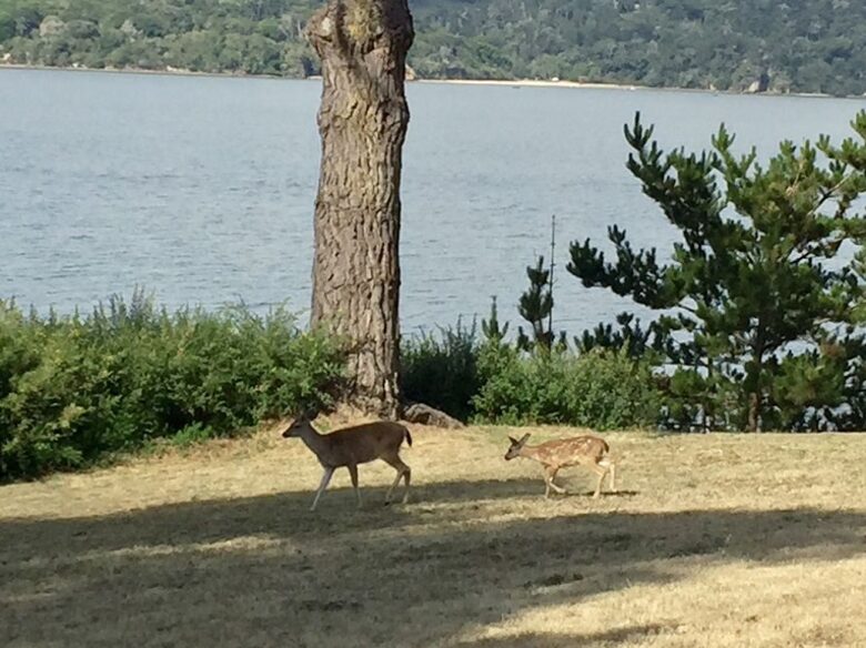 Oyster Cove Cottage - Tomales Bay, California