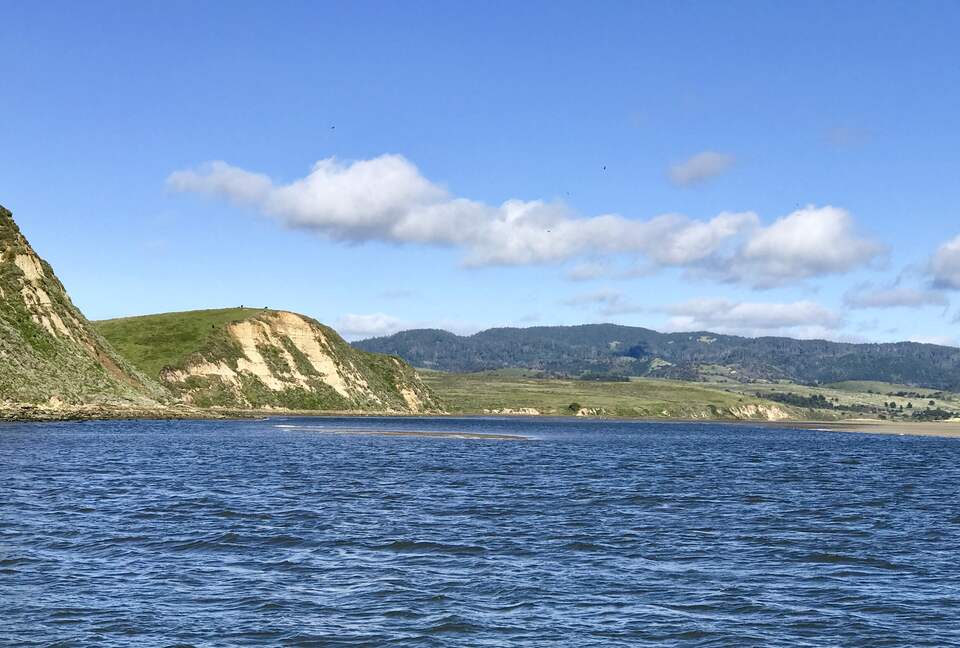 Oyster Cove Cottage - Tomales Bay, California