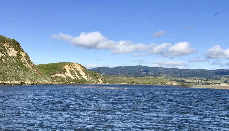 Oyster Cove Cottage - Tomales Bay, California