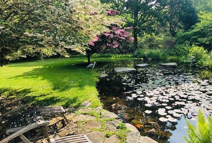 Martha's Vineyard Getaway - West Tisbury, Massachusetts