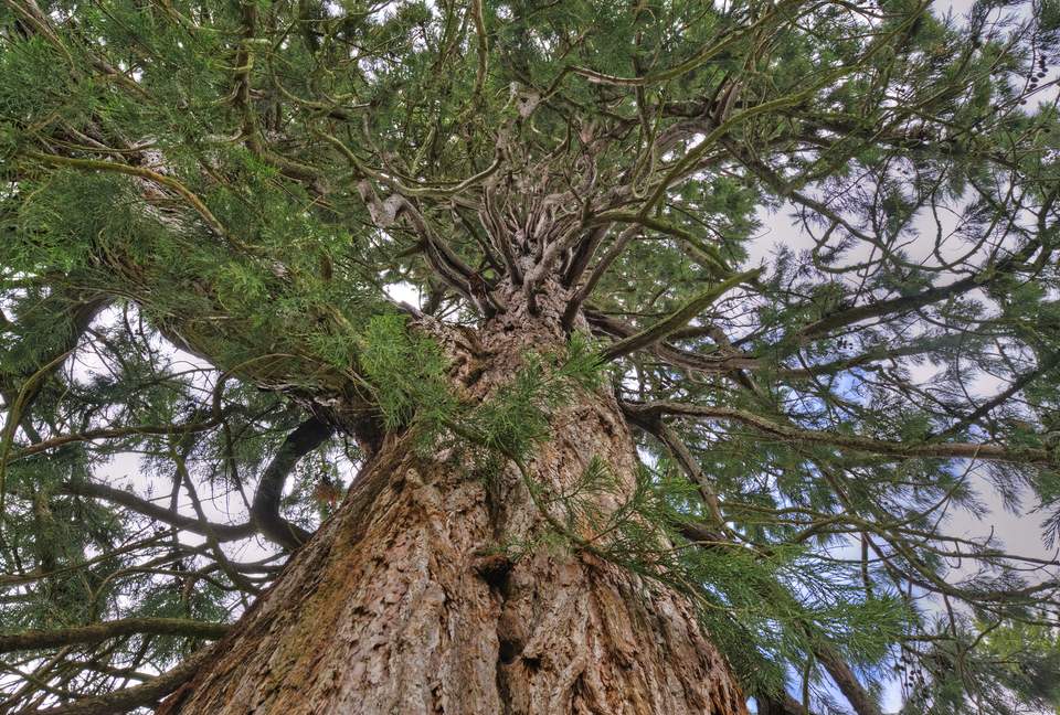 Candacraig (R) - Strathdon, United Kingdom