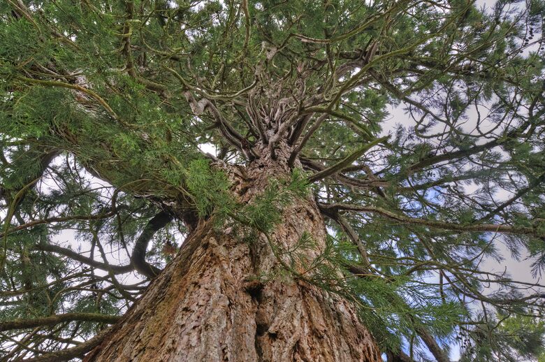 Candacraig (R) - Strathdon, United Kingdom