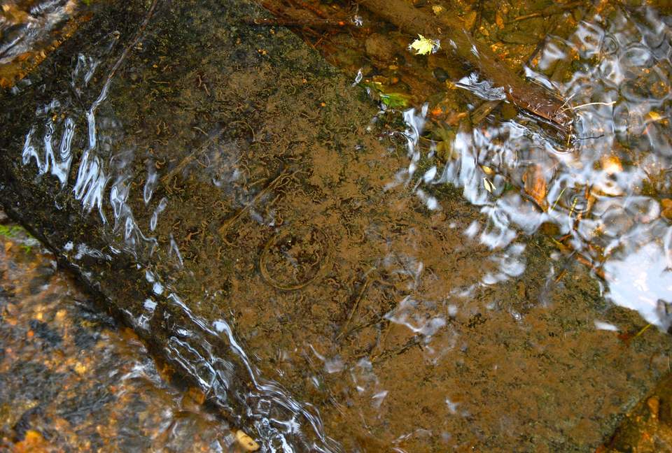 Candacraig (R) - Strathdon, United Kingdom