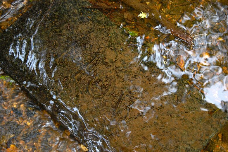 Candacraig (R) - Strathdon, United Kingdom