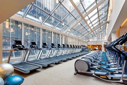 One Bedroom Penthouse Suite - Amazing Manhattan Location! - New York, New York