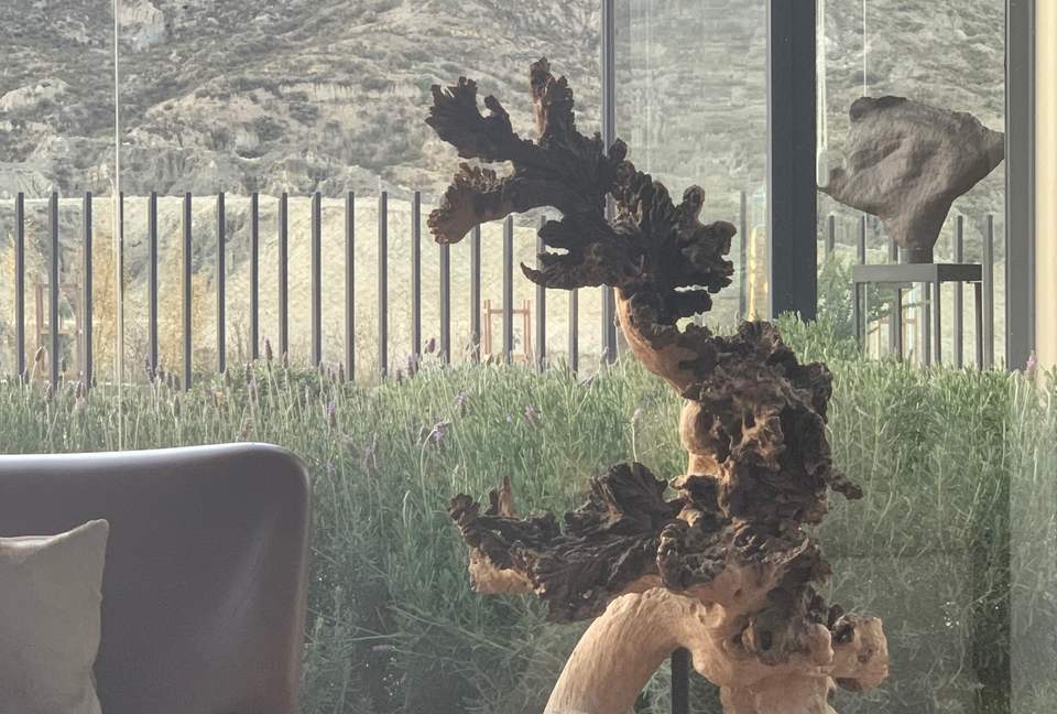 Designer House in La Paz, Bolivia - La Paz, Bolivia