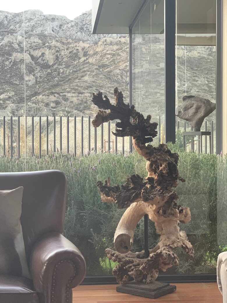 Designer House in La Paz, Bolivia - La Paz, Bolivia