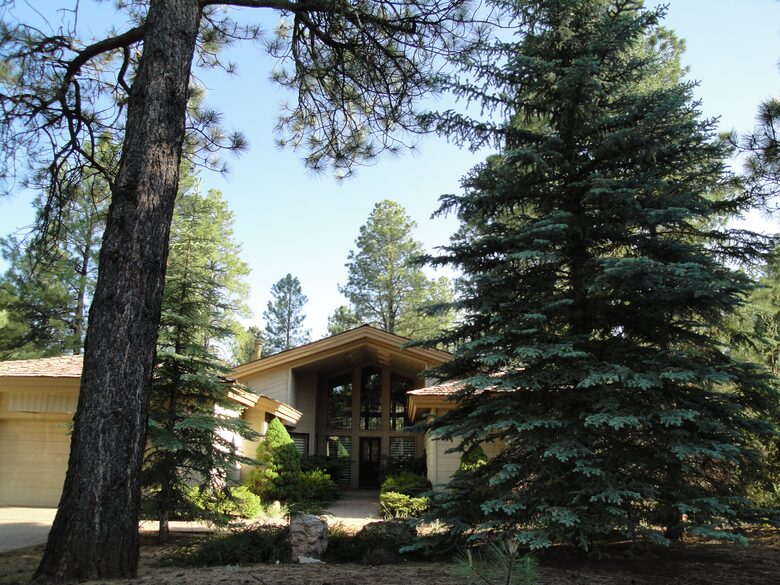 SKI OR GOLF IN THE MAGICAL FOREST - Flagstaff, Arizona