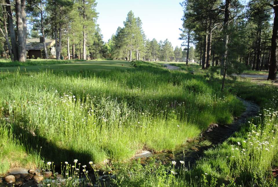 SKI OR GOLF IN THE MAGICAL FOREST - Flagstaff, Arizona
