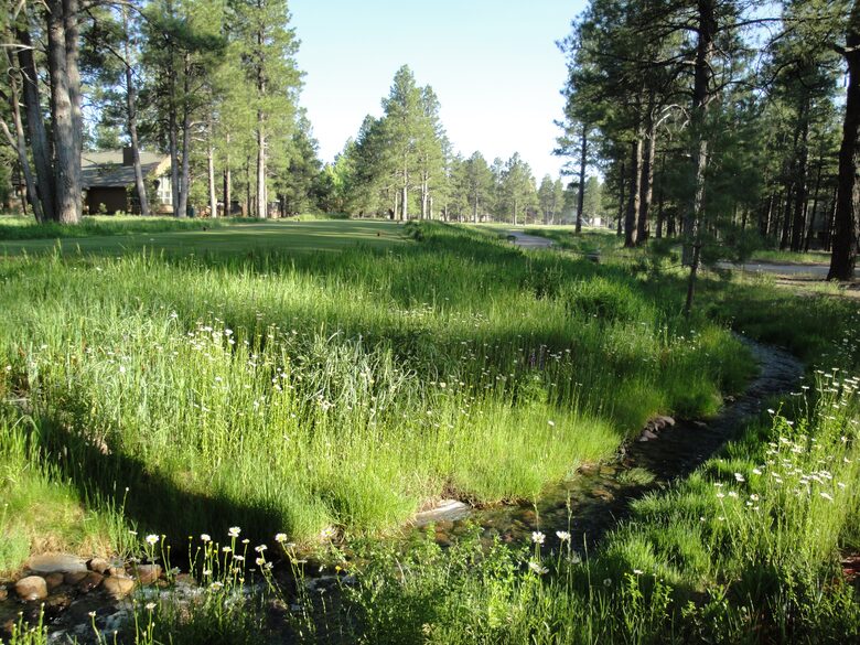 SKI OR GOLF IN THE MAGICAL FOREST - Flagstaff, Arizona