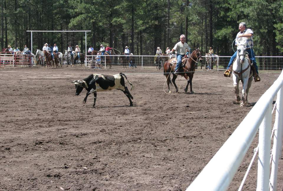 SKI OR GOLF IN THE MAGICAL FOREST - Flagstaff, Arizona