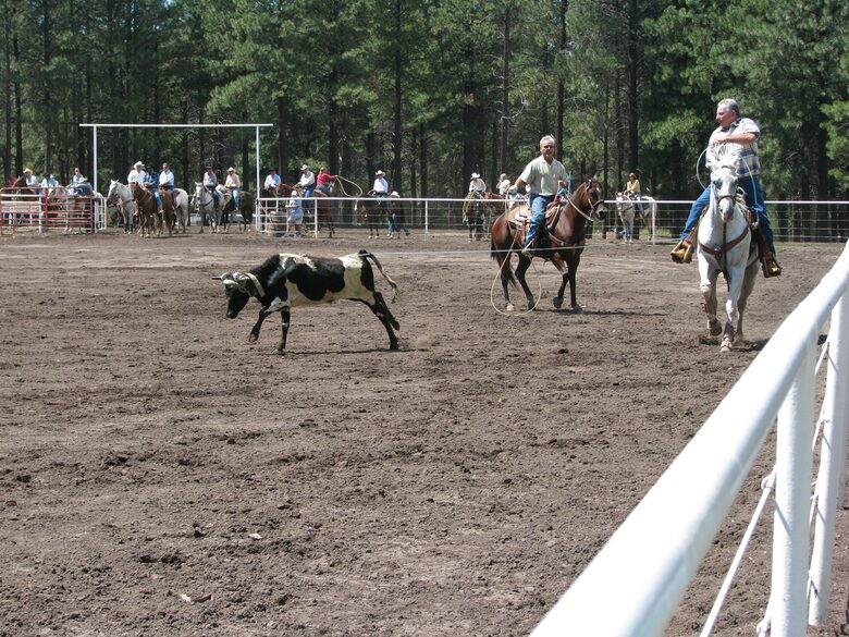 SKI OR GOLF IN THE MAGICAL FOREST - Flagstaff, Arizona