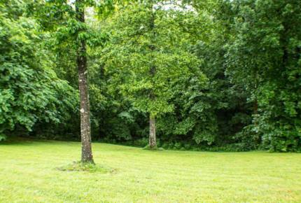 Lyric and Leiper's Fork - Nashville Area! - Franklin, Tennessee