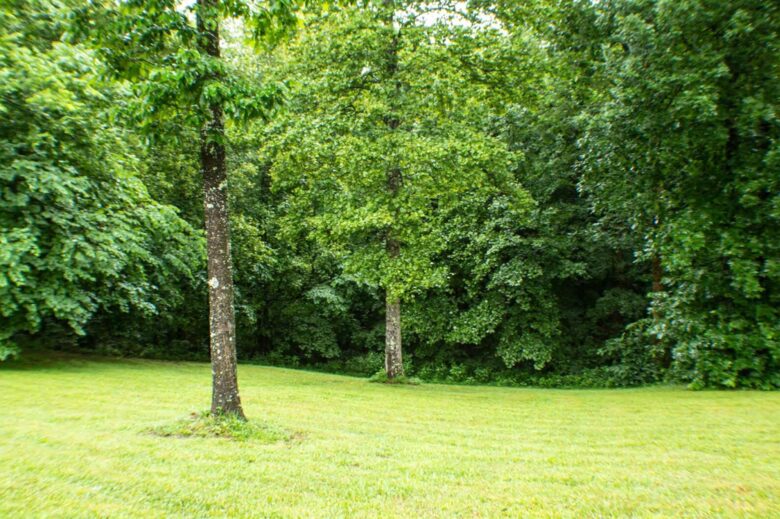 Lyric and Leiper's Fork - Nashville Area! - Franklin, Tennessee