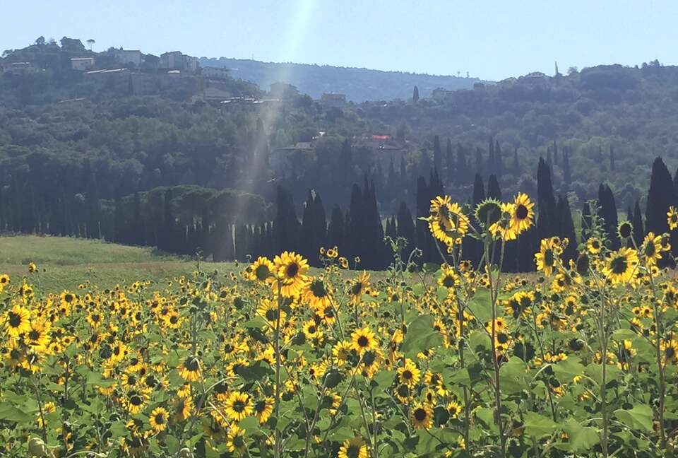 Palazzo Grande (R) - Corciano (Umbria), Italy