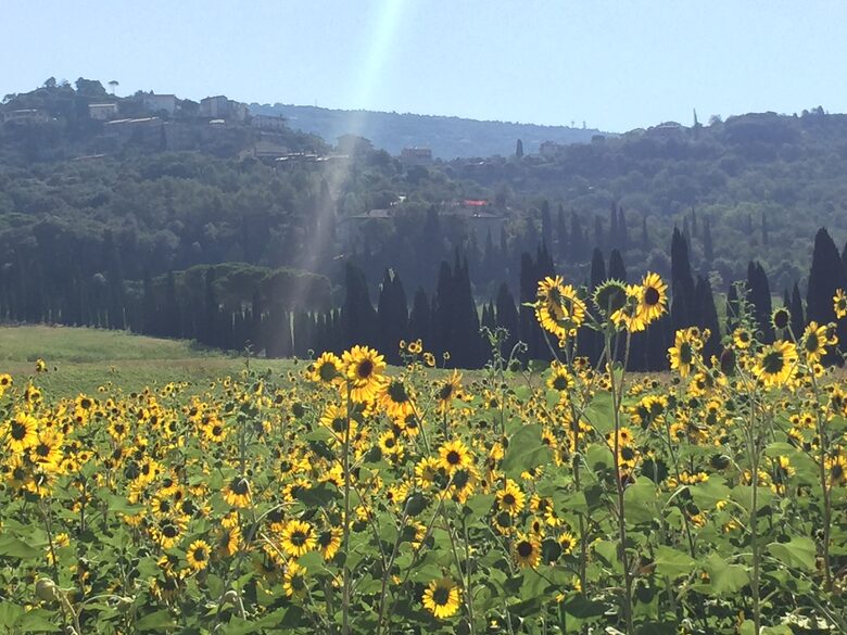 Palazzo Grande (R) - Corciano (Umbria), Italy