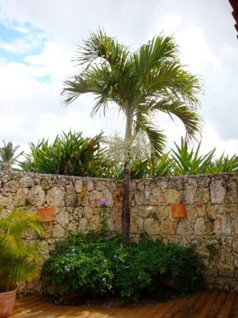 Casa de Martina - La Romana, Dominican Republic