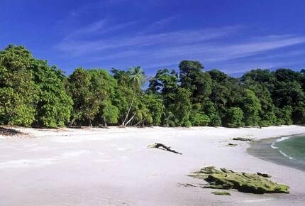 Beachfront, Be Happy! - Quepos/Manuel Antonio, Costa Rica