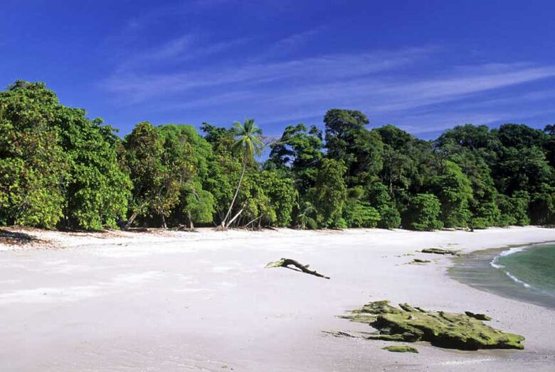 Beachfront, Be Happy! - Quepos/Manuel Antonio, Costa Rica