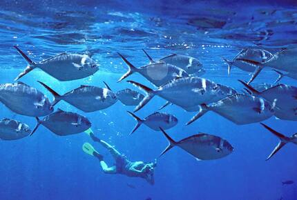 Beachfront, Be Happy! - Quepos/Manuel Antonio, Costa Rica