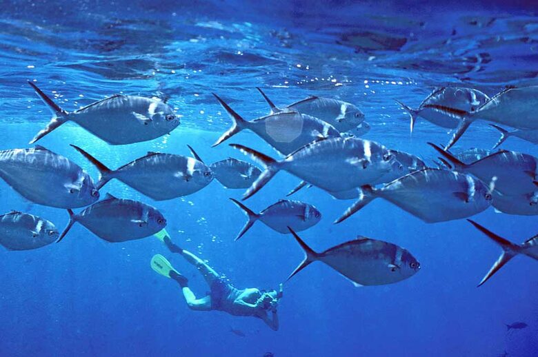 Beachfront, Be Happy! - Quepos/Manuel Antonio, Costa Rica