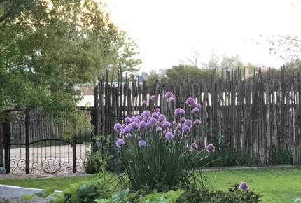 Taos Adobe Hideaway - LLano que Mado, New Mexico