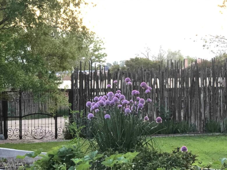 Taos Adobe Hideaway - LLano que Mado, New Mexico